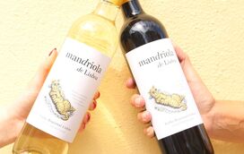 Mandriola de Lisboa, a nova marca de vinhos da Aveleda