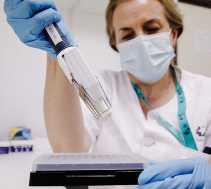 DGS pede abstinência sexual em casos suspeitos de varíola dos macacos