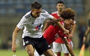 João Palhinha, Benfica, Fulham, Pré-época