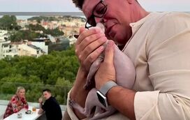 Famosos loucos com o gato egípcio