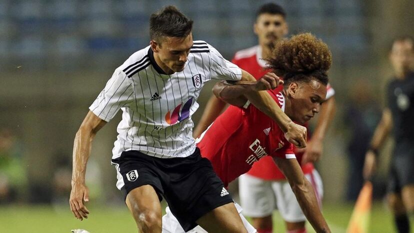 João Palhinha, Benfica, Fulham, Pré-época
