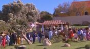 casamento bruno de carvalho