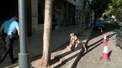 Marta Temido: queda