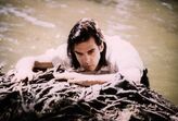 Nick Cave 