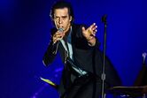 Nick Cave 