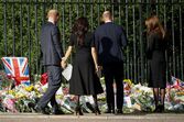 William, Harry, Meghan, Kate
