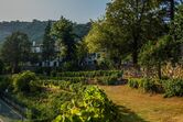 Vindima no Douro 