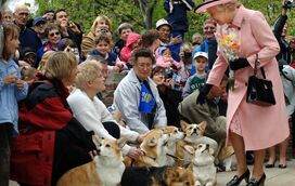 Já se sabe quem vai ficar com os amados cães corgi da rainha Isabel II, que eram tratados como autênticos "príncipes"