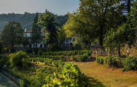 Setembro é o mês das vindimas e o Douro continua à sua espera