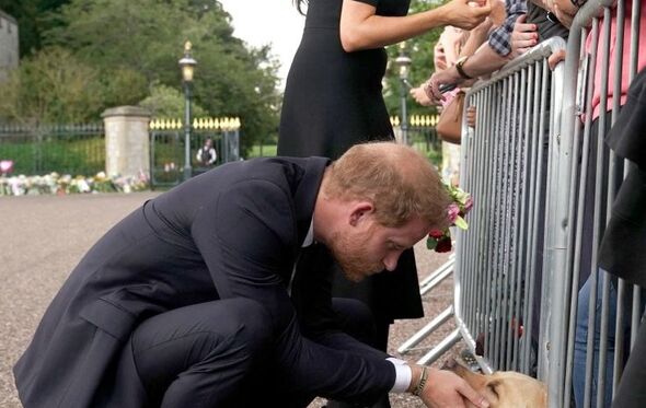 Príncipe Harry, Meghan Markle, cão