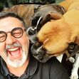 José Carlos Malato, cães
