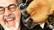 José Carlos Malato, cães