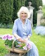camilla parker-bowles