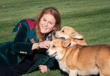 Sarah Ferguson