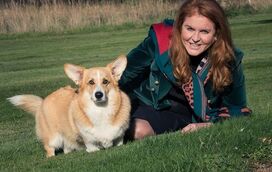 Sarah Ferguson revela momentos únicos com os corgis da rainha Isabel II