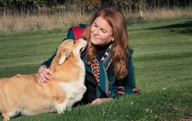 Que amor! Sarah Ferguson mostra cães corgis de Isabel II na nova casa