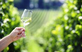 Descansar no meio da Natureza! Os 7 melhores hotéis rurais para uma escapadinha de outono