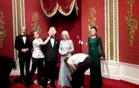 O ambiente e a estupidez