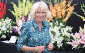 Traições e mentiras! Camilla Parker-Bowles e a vida íntima com Carlos e com outro homem... em simultâneo