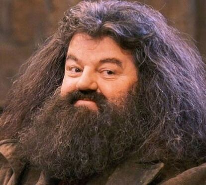 Morreu Robbie Coltrane, que fez de Hagrid em 'Harry Potter'