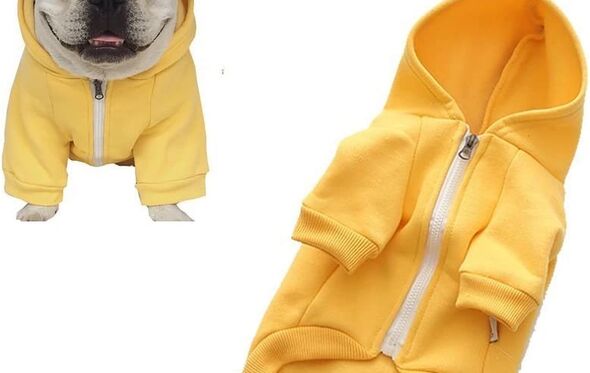 Sweatshirt Amazon 17,99€