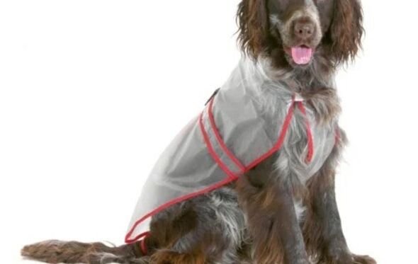 Impermeável Tiendanimal 9,99€
