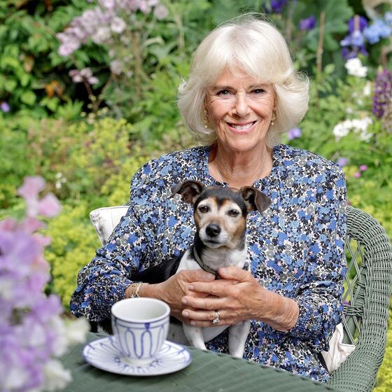 camilla parker-bowles