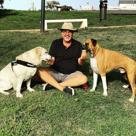 José Carlos Malato, cães