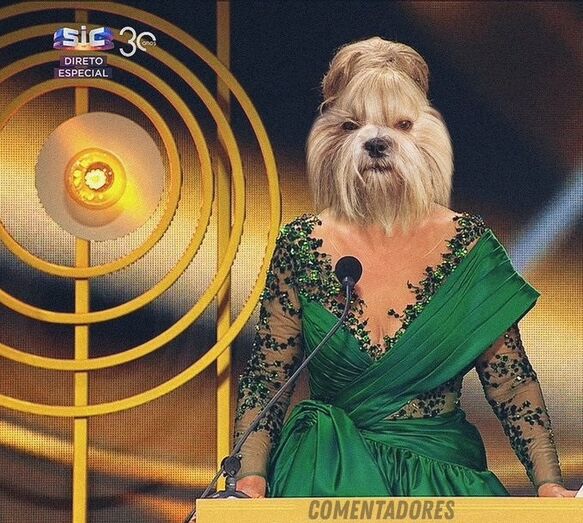 Clara de Sousa