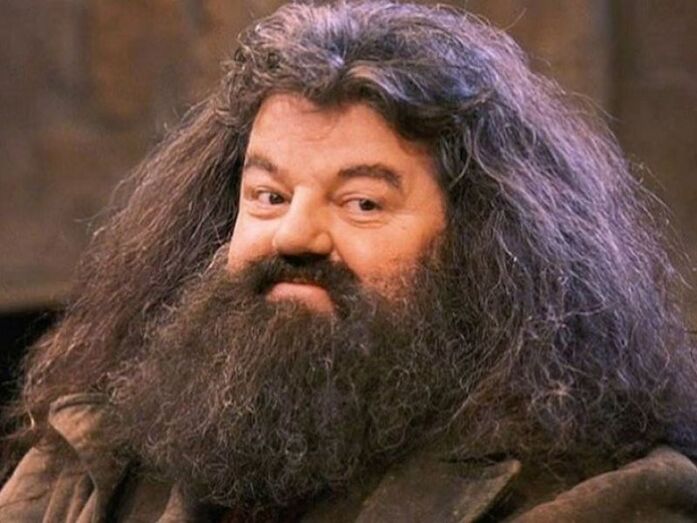 Robbie Coltrane, Hagrid