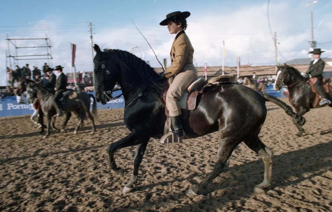 A Feira da Golegã está a começar e nós damos-lhe um guia de sobrevivência para aproveitar os seus dias no Ribatejo - Weekend foto