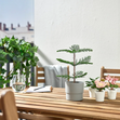 Planta de Natal artificial - Ikea - 5€