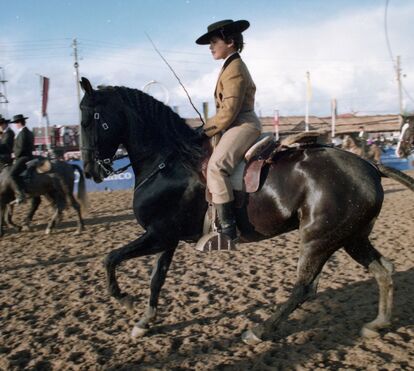 Agora com um novo e melhorado espaço, a Feira Nacional do Cavalo está de volta à Golegã e promete muitas novidades