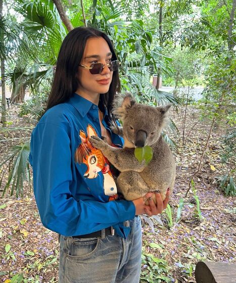 Dua Lipa