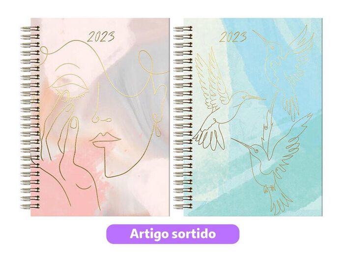Agenda 2023 - Auchan - 4,99€