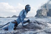Avatar, O Caminho da Água