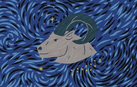 O ano de equilíbrio de Capricórnio e que coloca as coisas no rumo certo. As previsões de Maya para o ano novo