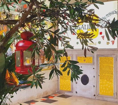 50 anos da Livraria Galileu: como o histórico espaço de Cascais sobreviveu às adversidades