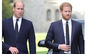 Príncipe Harry, príncipe William 