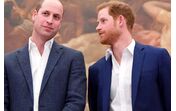 Príncipe Harry, príncipe William 