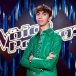 Gustavo Reinas, The Voice Portugal