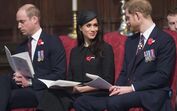 Ganância e ressabiamento!  Como Meghan 'cozinhou' a vingança contra William e se aproveitou dos ciúmes que Harry sempre teve do irmão