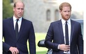 Príncipe Harry, príncipe William 