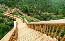 Beleza a perder de vista! 8 passadiços para caminhar no meio da Natureza