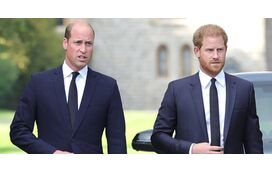 Nem William nem Harry vão herdar a casa da família da mãe, a princesa Diana. Conheça as razões 