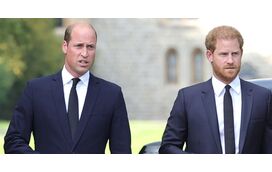 Nem William nem Harry vão herdar a casa da família da mãe, a princesa Diana. Conheça as razões 