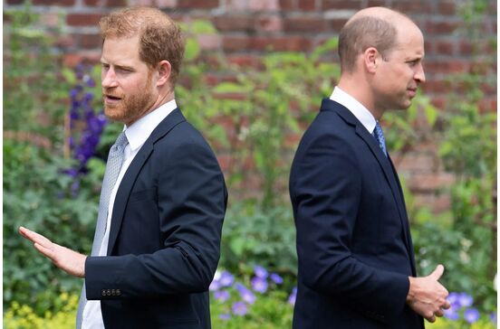 Príncipe Harry, príncipe William 