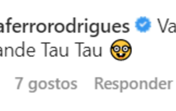 Rita Ferro Rodrigues, comentário