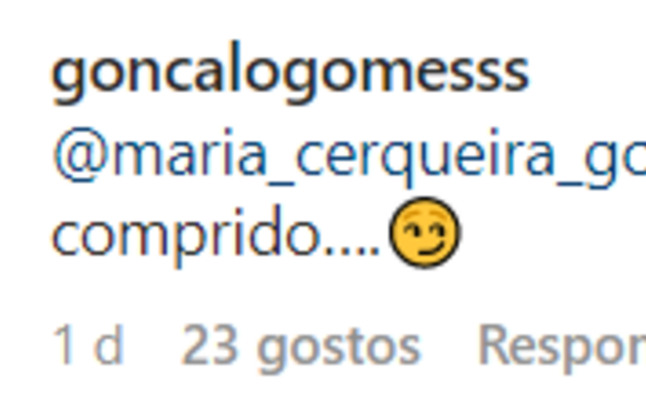 Gonçalo Gomes, Francisca Cerqueira Gomes, comentário