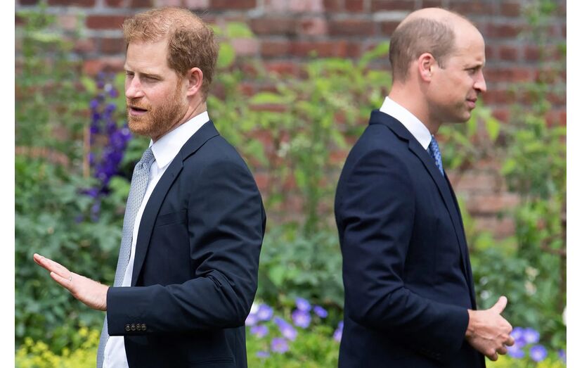 Príncipe Harry, príncipe William 